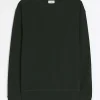 Dark green regular fit plain sweatshirt