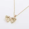 Gold January Birthstone Heart Necklace