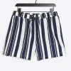 Navy regular fit stripe swim shorts