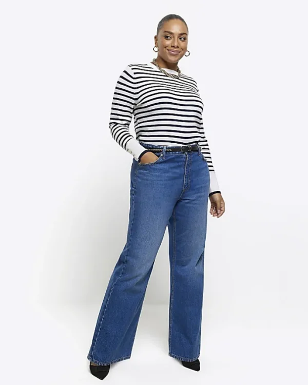 Plus navy stripe knit top