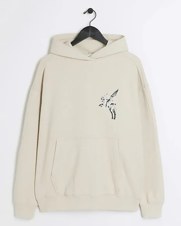 Stone Regular Fit Pegasus Graphic Hoodie